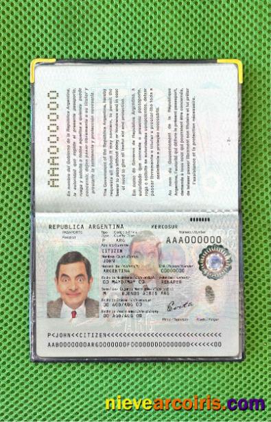 Argentina passport photolook